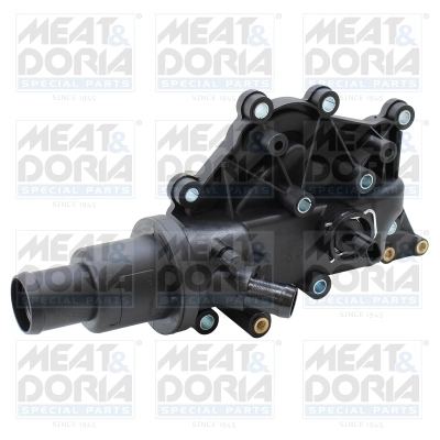 Thermostat, coolant